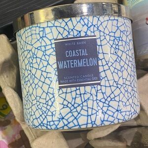 White Barn Coastal Watermelon Scented Candle